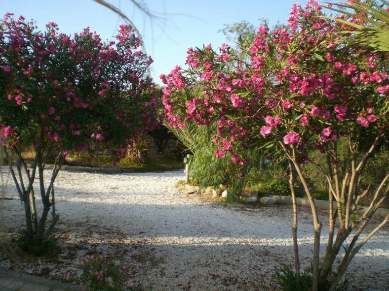 אל פוזו דה לוס פריילס Casas Rurales Cortijo Torreblanca Parque Cabo De Gata מראה חיצוני תמונה