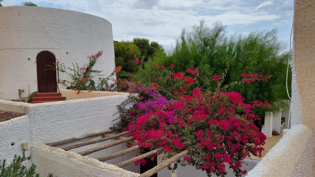 אל פוזו דה לוס פריילס Casas Rurales Cortijo Torreblanca Parque Cabo De Gata מראה חיצוני תמונה