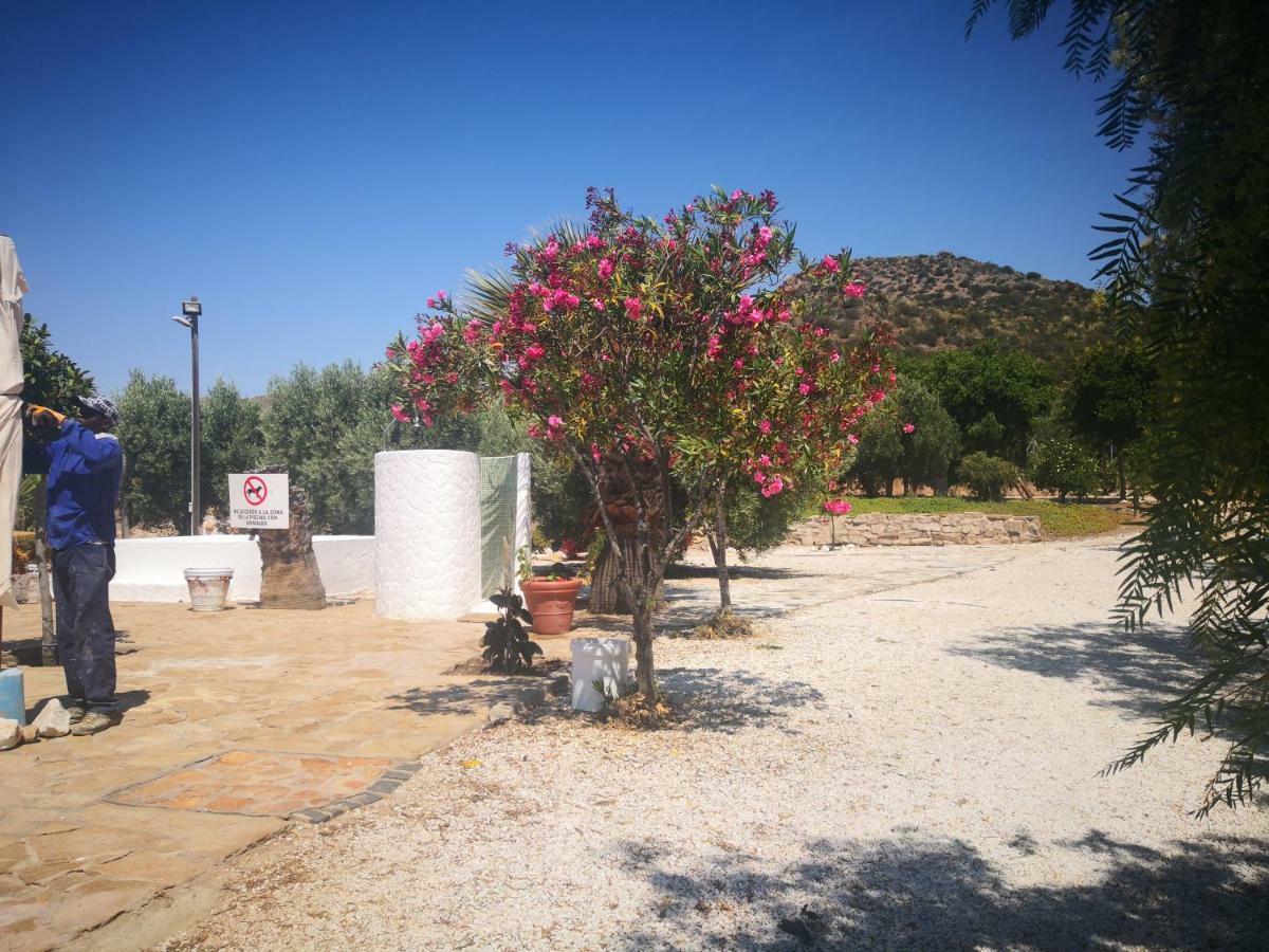 אל פוזו דה לוס פריילס Casas Rurales Cortijo Torreblanca Parque Cabo De Gata מראה חיצוני תמונה