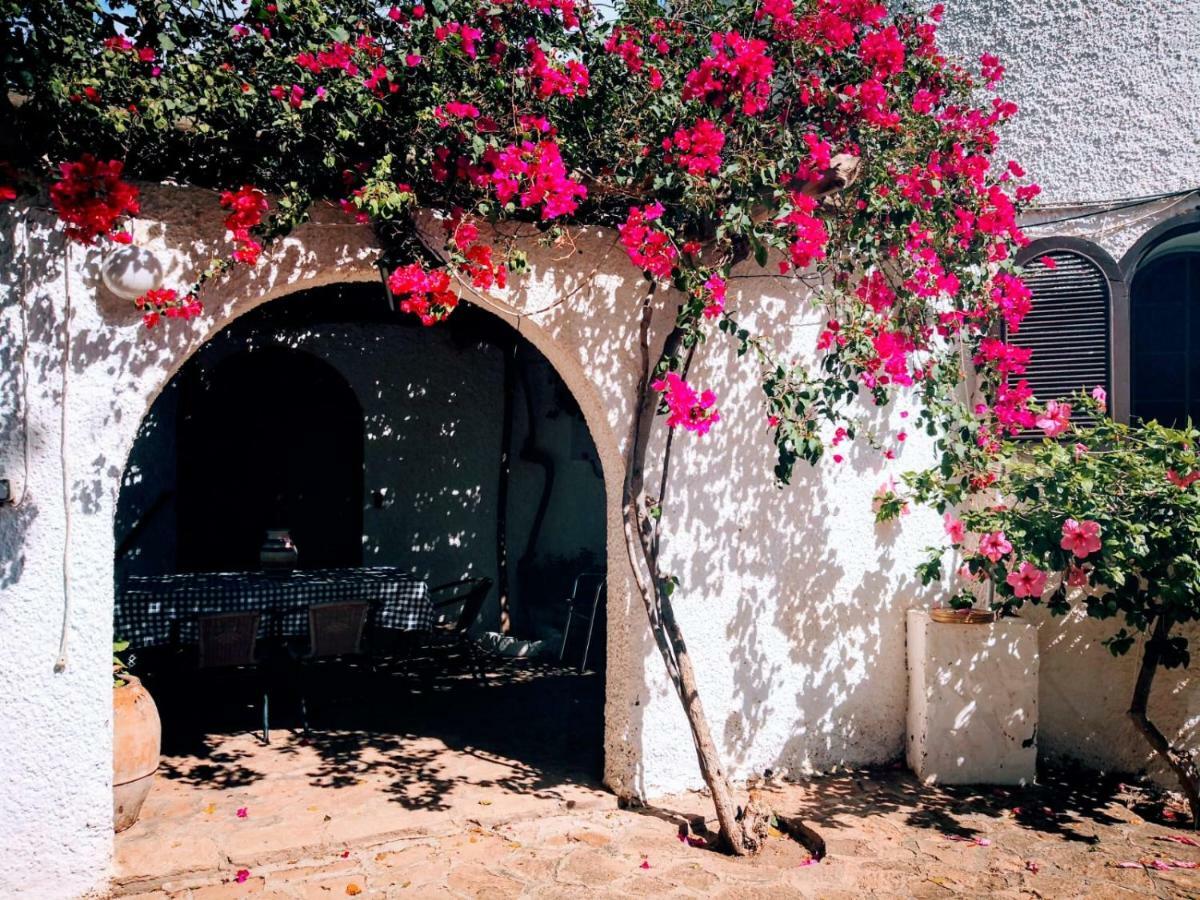 אל פוזו דה לוס פריילס Casas Rurales Cortijo Torreblanca Parque Cabo De Gata מראה חיצוני תמונה